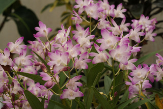 DSC06647.JPG