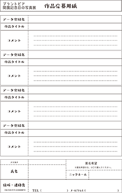 作品応募用紙
